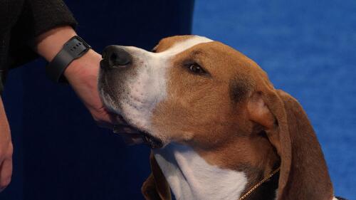 运动会策划与执行